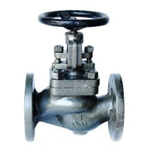 Q-205 S - Qinn CAST IRON GLOBE STEAM STOP CUM NRV