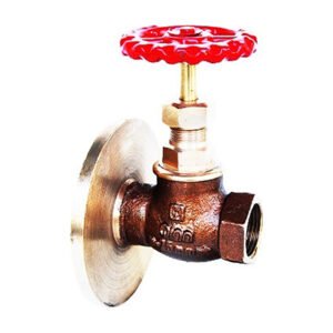 Q-93 - Qinn BRONZE GLOBE VALVE ONE SIDE FLANGED AND ONE SIDE SCREWED