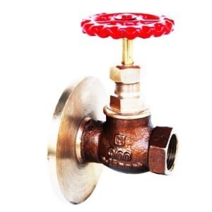 Q-93 - Qinn BRONZE GLOBE VALVE ONE SIDE FLANGED AND ONE SIDE SCREWED
