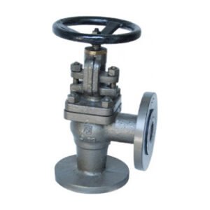Q-205 A - Qinn CAST IRON JUNCTION STEAM STOP CUM NRV