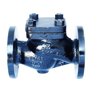 Q-302 - Qinn CAST STEEL HORIZONTAL LIFT CHECK VALVE PN-40