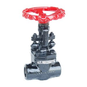 Q-402 - Qinn DROP FORGED STEEL GLOBE VALVE