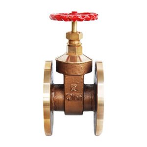 Q-52 - Qinn BRONZE GATE VALVE FLANGED ISI MARKED