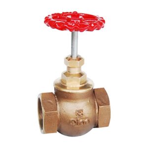 Q-53 Qinn BRONZE GLOBE VALVE ISI Marked Class-1