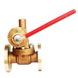 Paralelide Blow off Valves